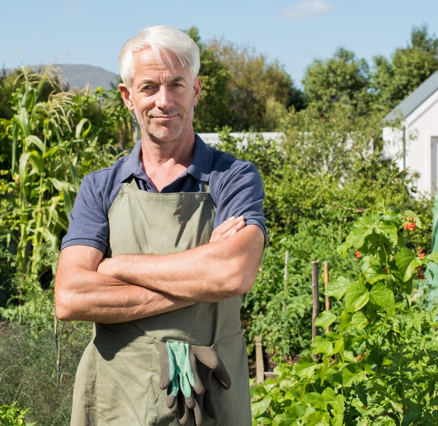 Pensions Review