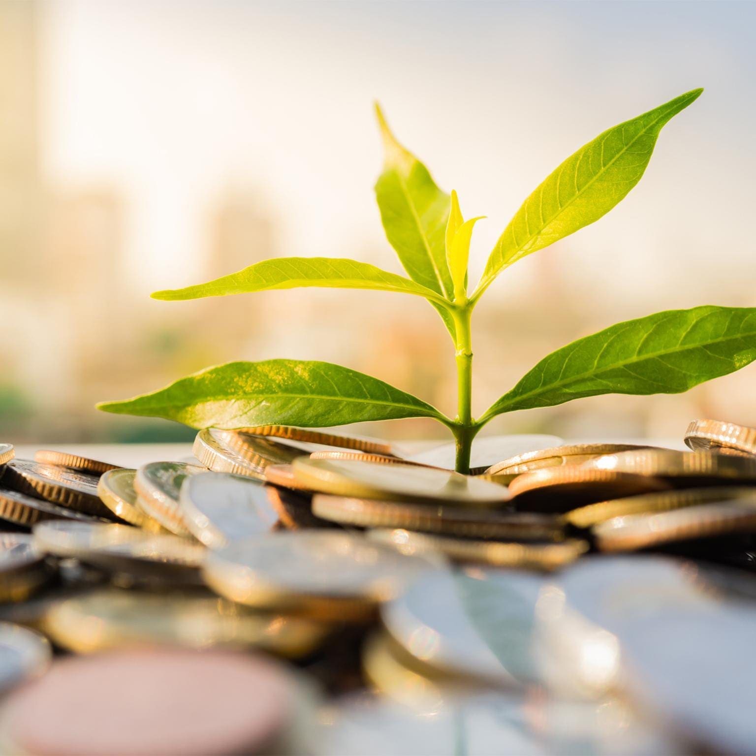 Investment Bonds