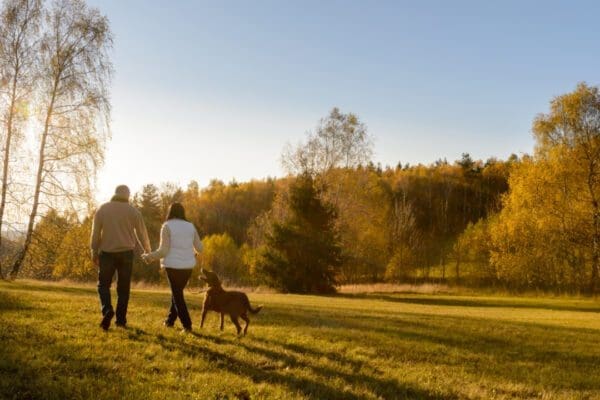 A couple walking a dog in the countryside