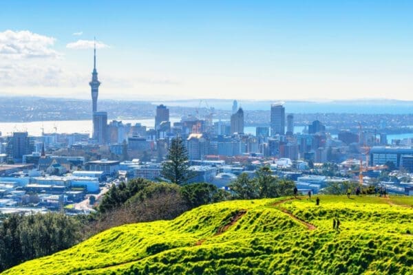 View of Auckland from Mount Eden