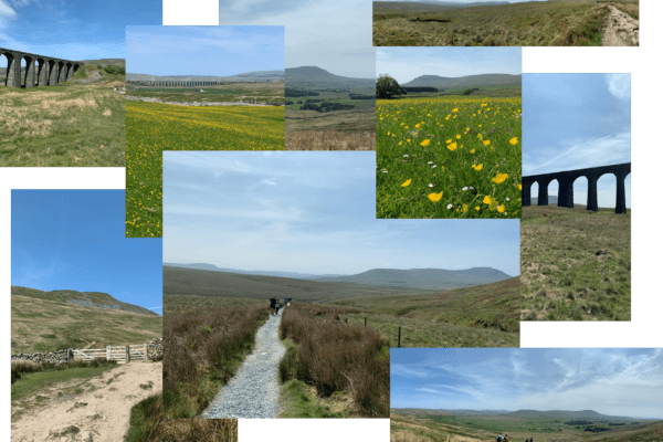 3 peaks collage