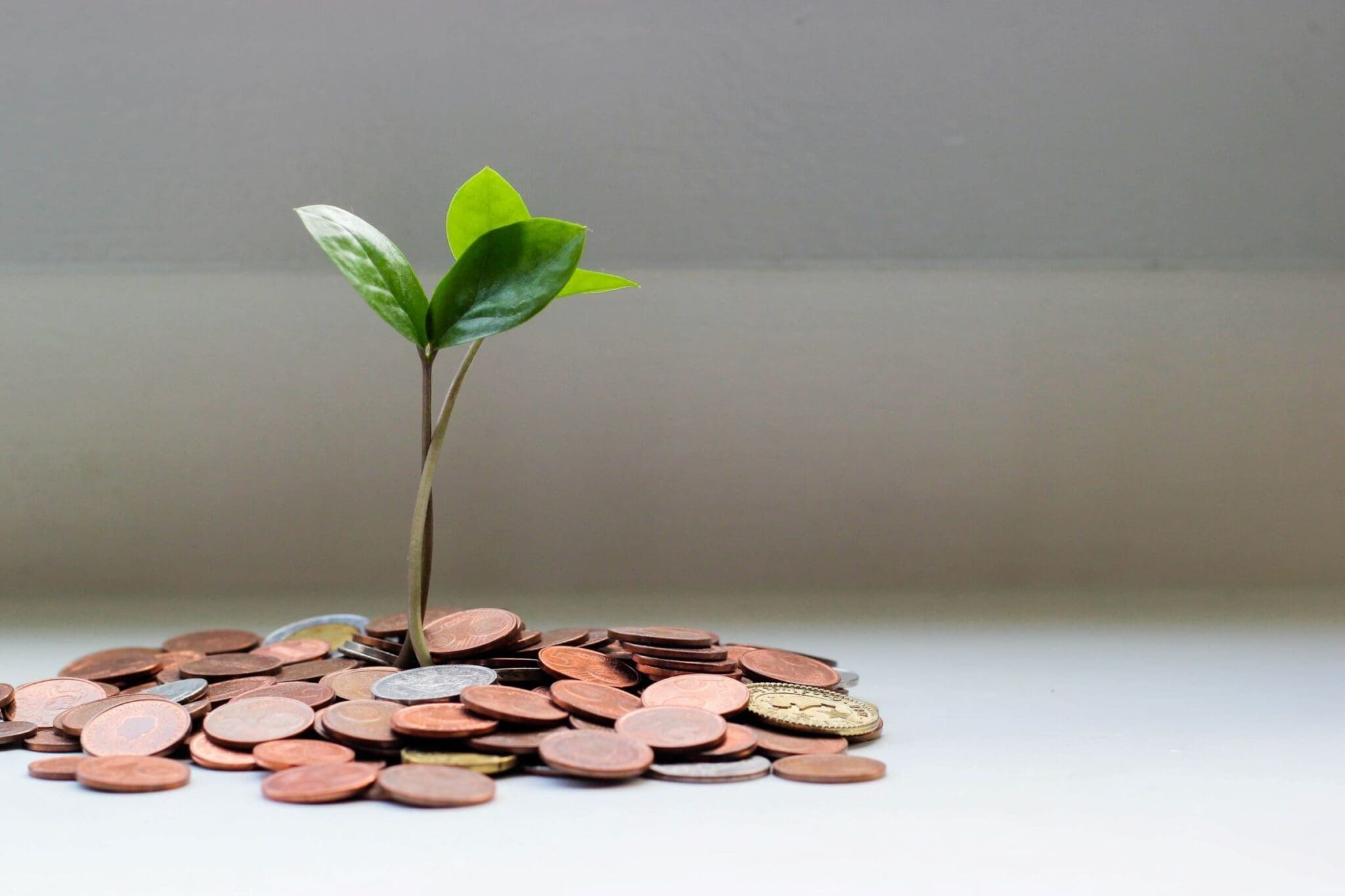 Money growth